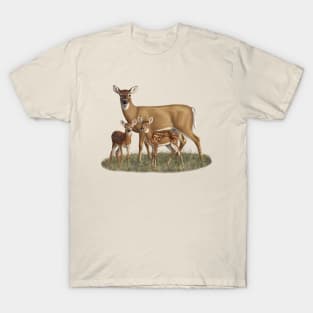 Whitetail Deer Doe and Cute Twin Fawns T-Shirt